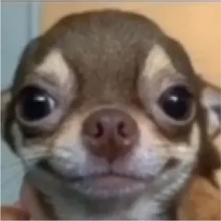 😄