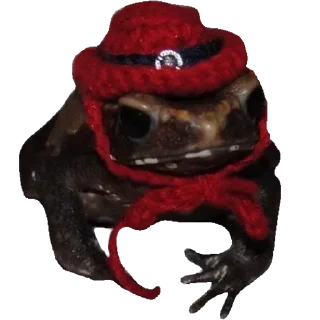 🐸