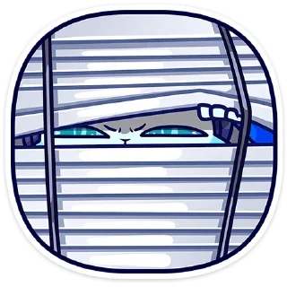 👀