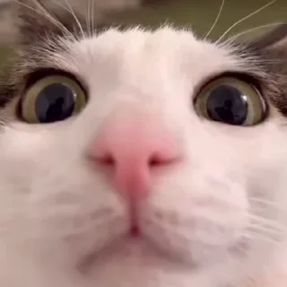 👀