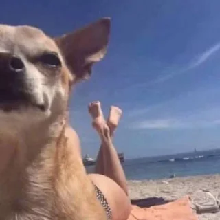 🧊