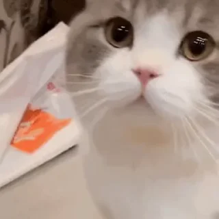 👅