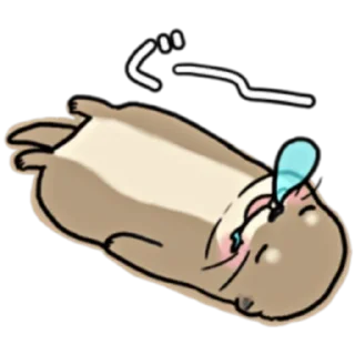 😴
