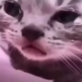 😭