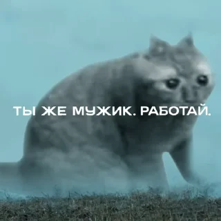 😐