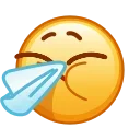 🤧