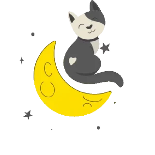 🌕