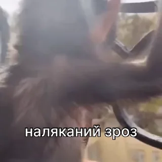 😨