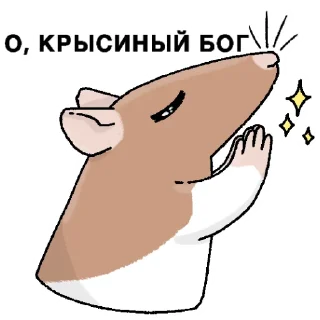 🙏