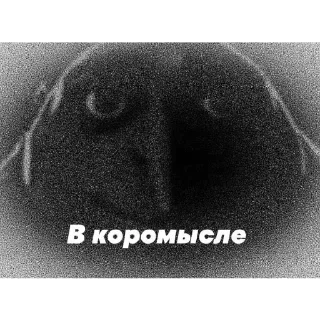⚪