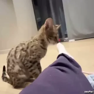 😏
