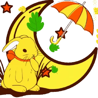 🍁