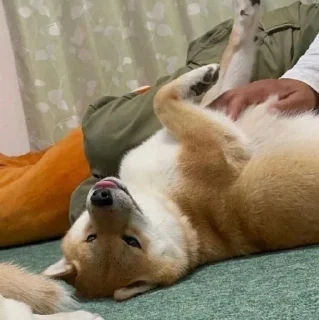 😝