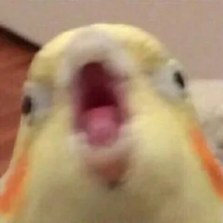 😵