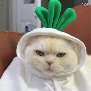 🤍