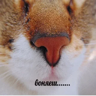 🤭