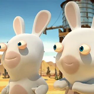 Wild Rabbits after washing @stickersb2b