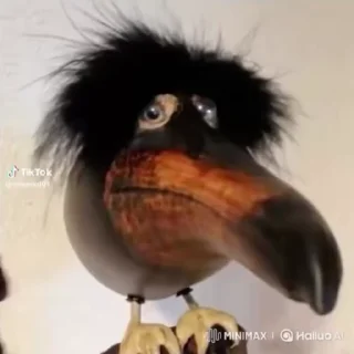 😤