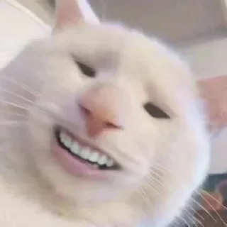 😅