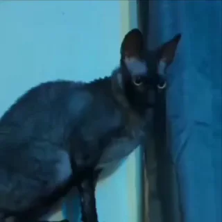 😌