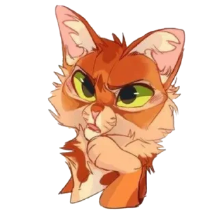 🐱