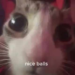 😮
