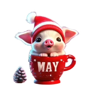 🐷