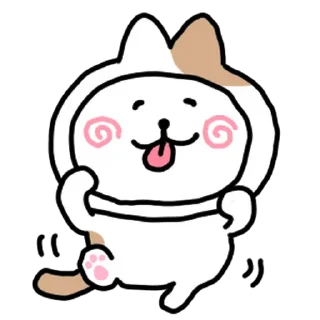 🐱