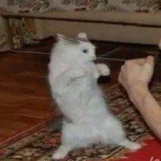 👊