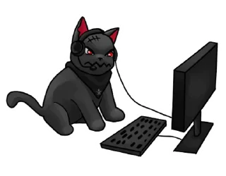 💻