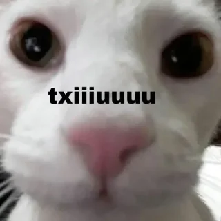 😗