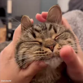 🤗