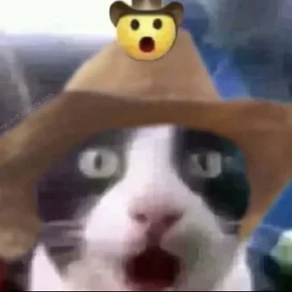 🤠