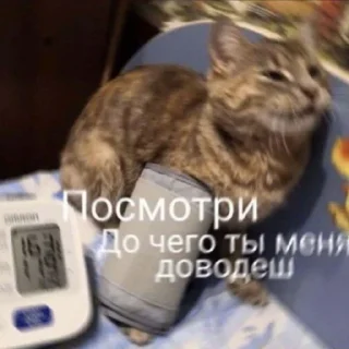 🙂