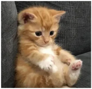 😧