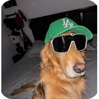 😎