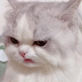 💗
