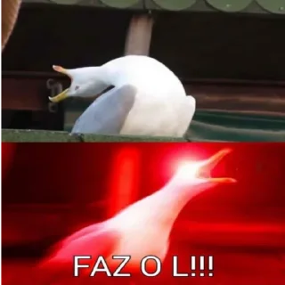 🦑