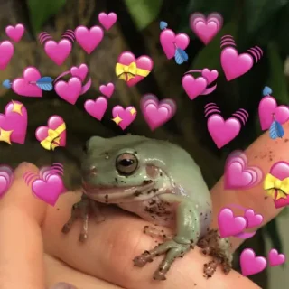 💕
