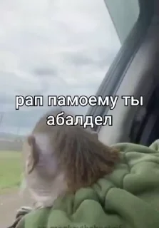 🥹