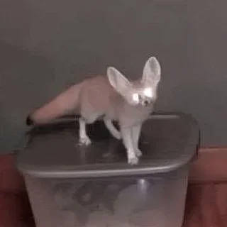 😈
