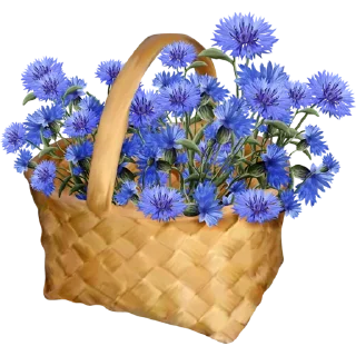 💐