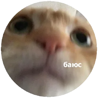🥺