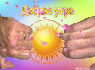 🌟