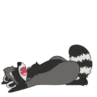 💤