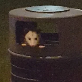 😳