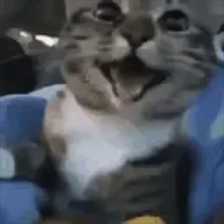 😊
