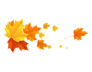 🍁