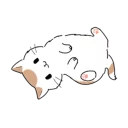 Kitty Yuan
