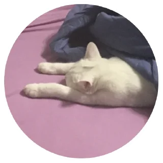 Бети :3